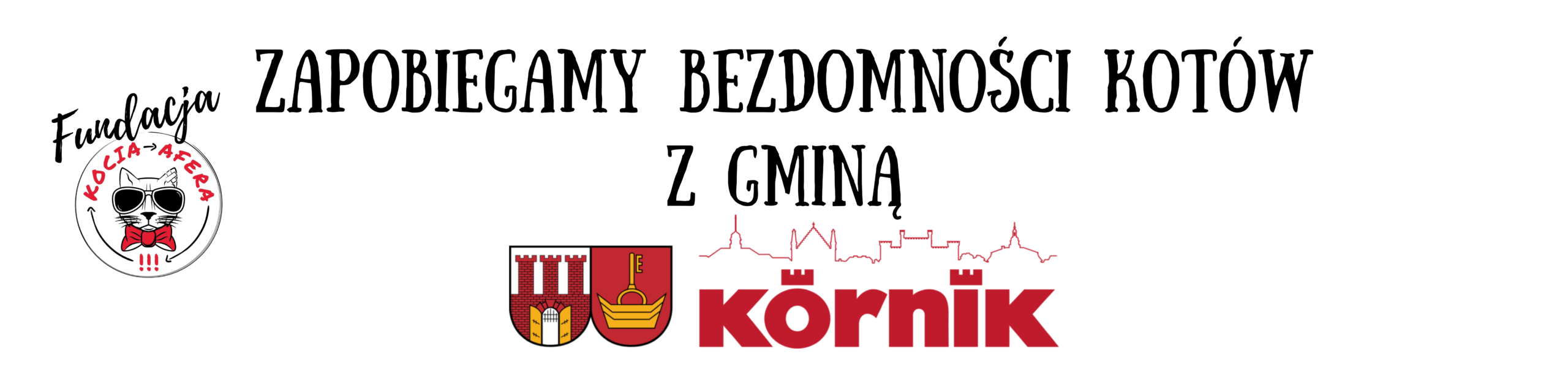 Zapobiegamy bezdomności kotów długi2